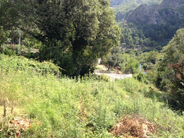 Land Plot For Sale In Risan