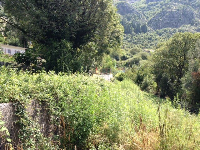Land plot for sale in Risan — Montenegro