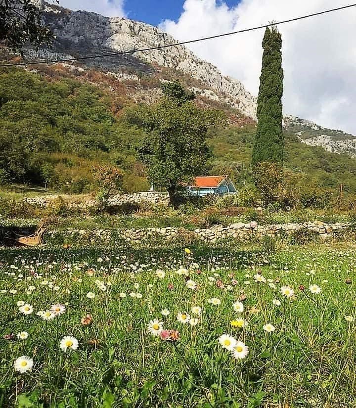 House with garden for sale in Bar — Montenegro
